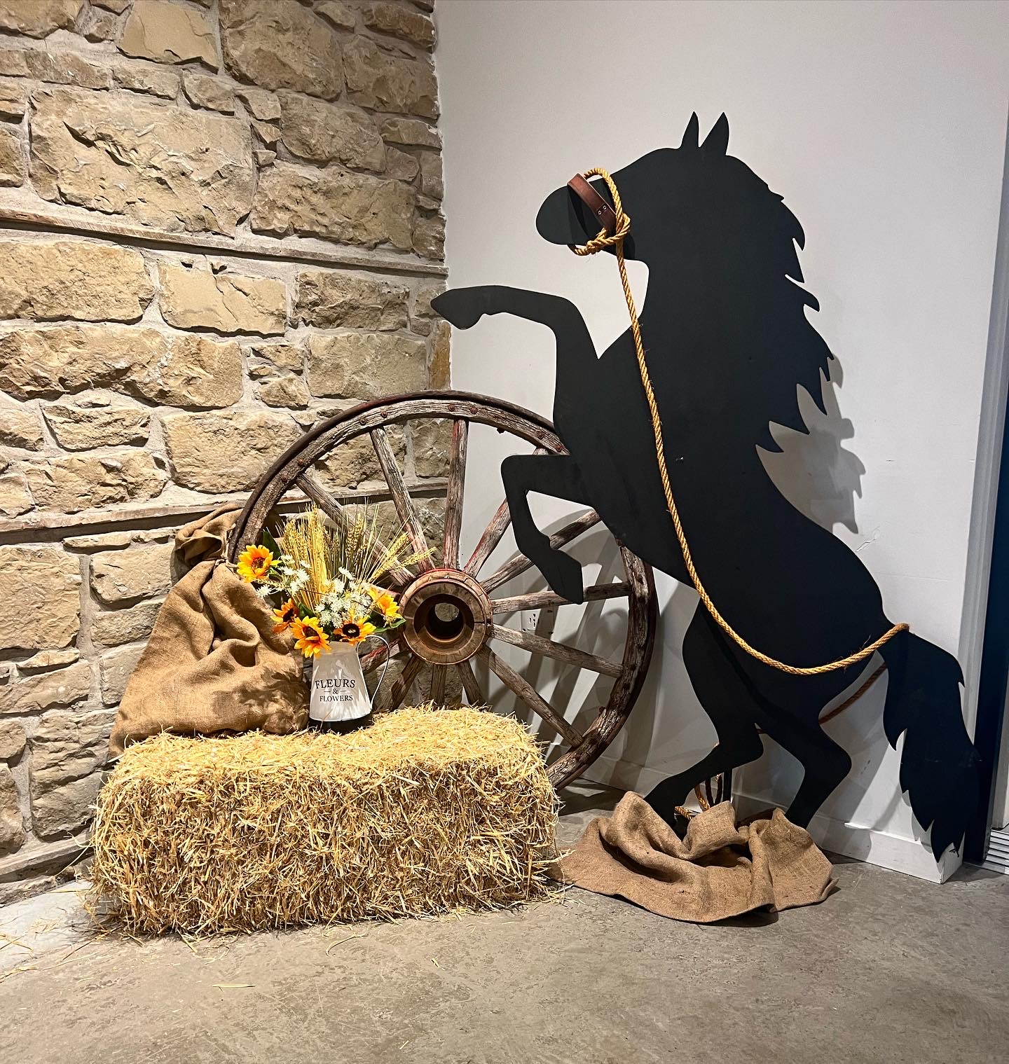 Stampede Events Chair Flair