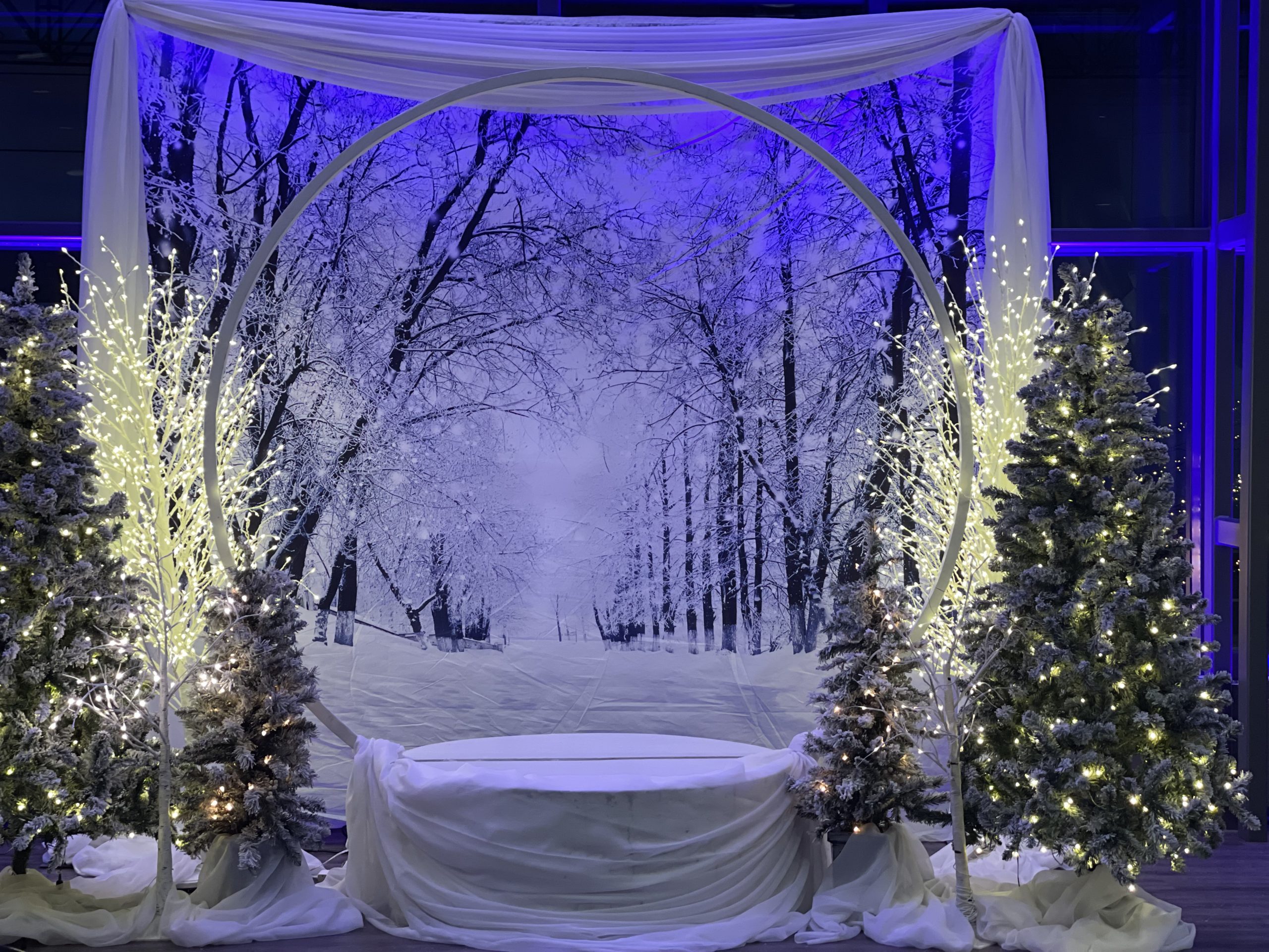 Chair Flair Christmas Events